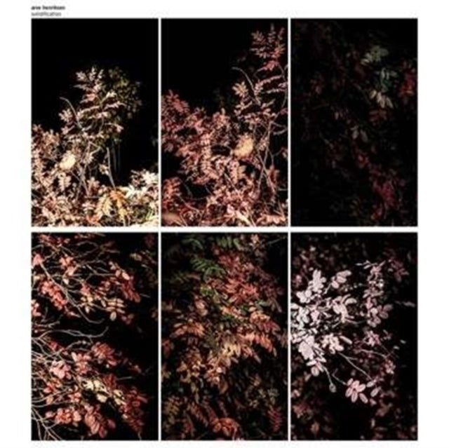 HENRIKSEN, ARVE | SOLIDIFICATION (7LP) | VINYL RECORD (LP)