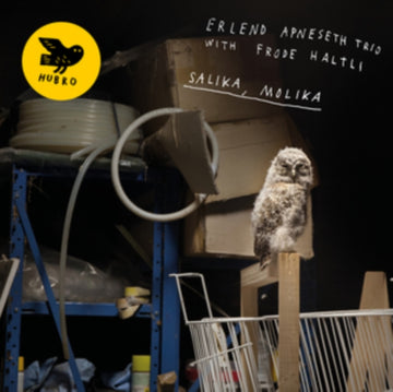ERLEND APNESETH TRIO & FRODE HALTLI | SALIKA, MOLIKA | VINYL RECORD (LP)