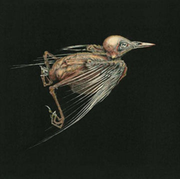 MESHES OF VOICE (LIMITED) | VINYL RECORD (LP)