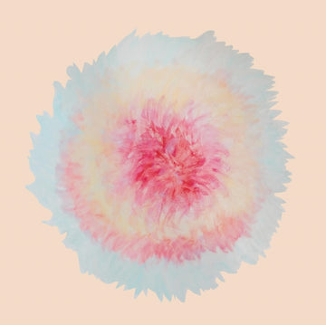 SIGNE MARIE RUSTAD | WHEN WORDS FLEW FREELY | VINYL RECORD (LP)