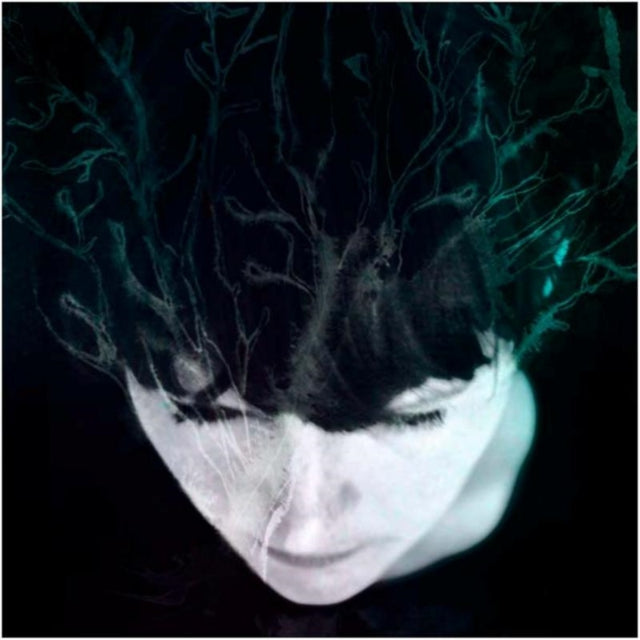 KOLSTO, HANNE | WHILE WE STILL HAVE LIGHT | VINYL RECORD (LP)