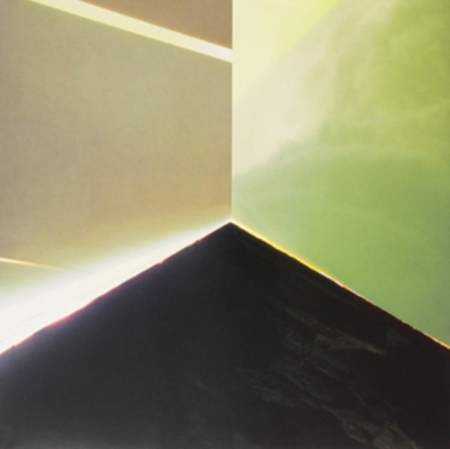 NEXT LIFE | ARTIFICIAL DIVINITY | VINYL RECORD (LP)