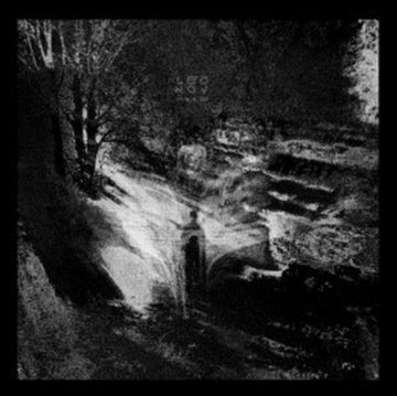 WAKE | VINYL RECORD (LP)