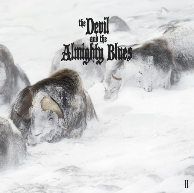 DEVIL & THE ALMIGHTY BLUES | II (2LP) | VINYL RECORD (LP)