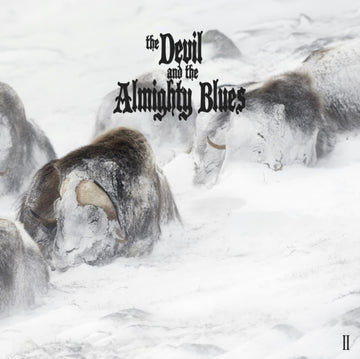DEVIL & THE ALMIGHTY BLUES | II (2LP) | VINYL RECORD (LP)