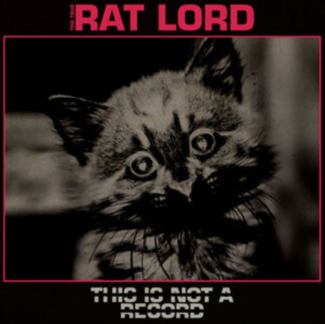 RAT LORD | THIS IS NOT A RECORD | VINYL RECORD (LP)