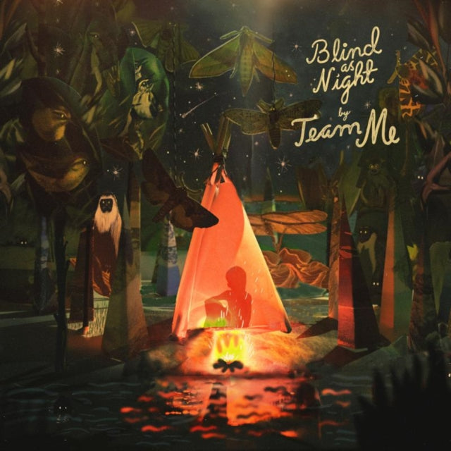 TEAM ME | BLIND AS LIGHT | VINYL RECORD (LP)