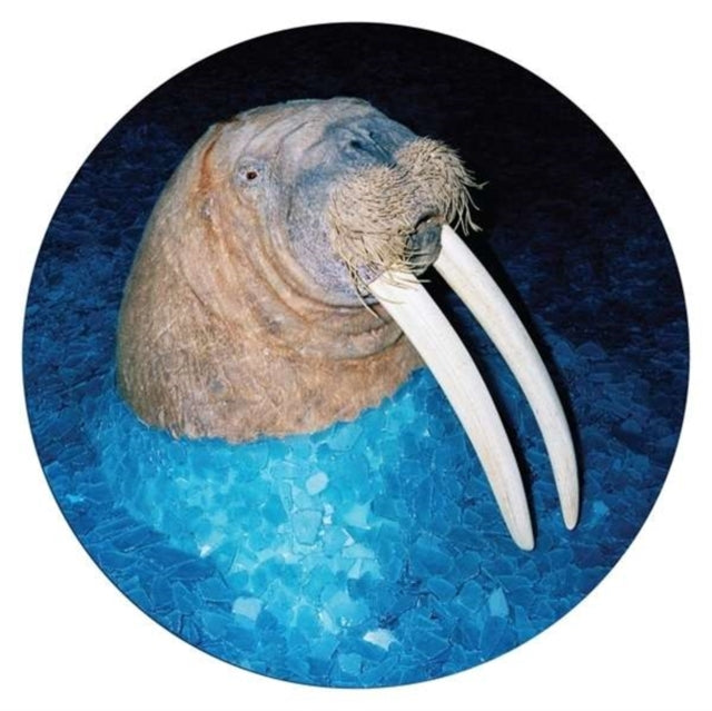 TROSS | WALRUS EP (PICTURE DISC) | 12IN VINYL