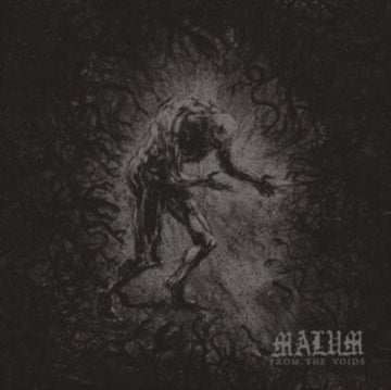 FROM THE VOIDS | VINYL RECORD (LP)