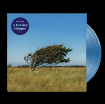 FLEETING GLIMPSE | VINYL RECORD (LP)