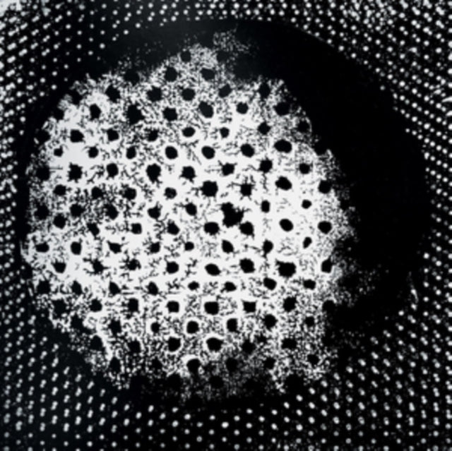 BIOSPHERE | PATASHNIK (2LP) | VINYL RECORD (LP)