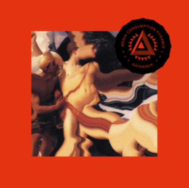 DATAROCK | MEDIA CONSUMPTION PYRAMID | VINYL RECORD (LP)