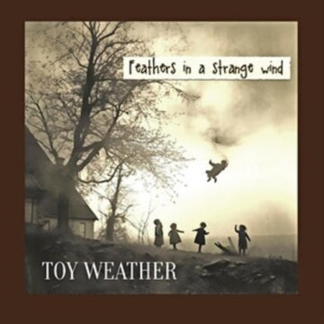FEATHERS IN A STRANGE WIND | VINYL RECORD (LP)