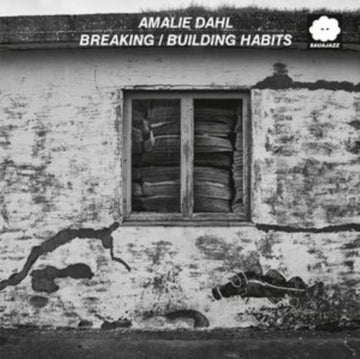 BREAKING / BUILDING HABITS | VINYL RECORD (LP)