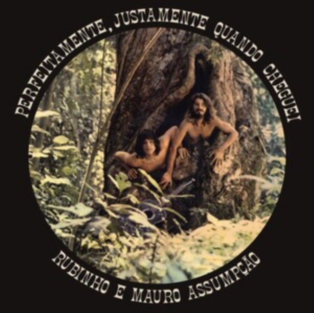 E  MAURO ASSUMPCAO, RUBINHO | PERFEITAMENTE, JUSTAMENTE QUANDO CHEGUEI | VINYL RECORD (LP)