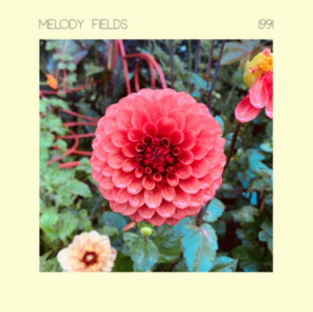 MELODY FIELDS | 1991 | VINYL RECORD (LP)