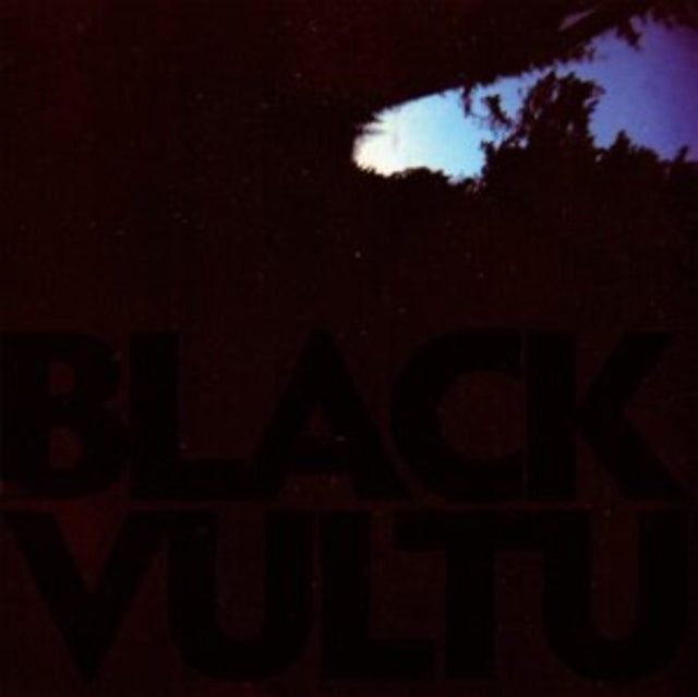 NORGREN, DANIEL | BLACK VULTURES (10) | VINYL RECORD (LP)