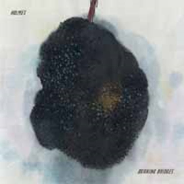 PREACHER AND BEAR | STORM HAS COME | VINYL RECORD (LP)
