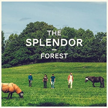 FOREST | VINYL RECORD (LP)
