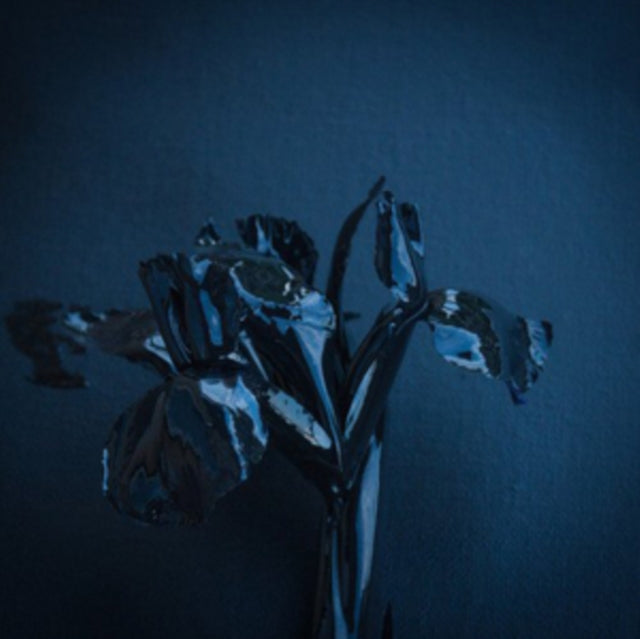 SWARM OF THE SUN | RIFTS | VINYL RECORD (LP)