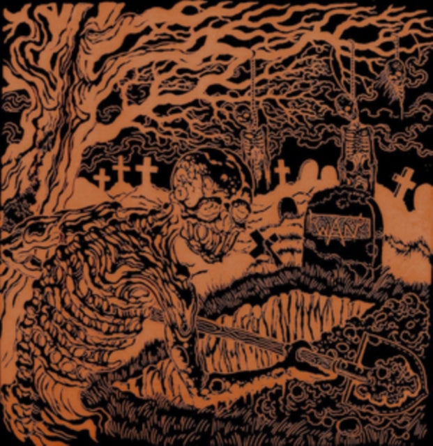 WAN | WOLVES OF THE NORTH / ENJOY THE FILTH | VINYL RECORD (LP)