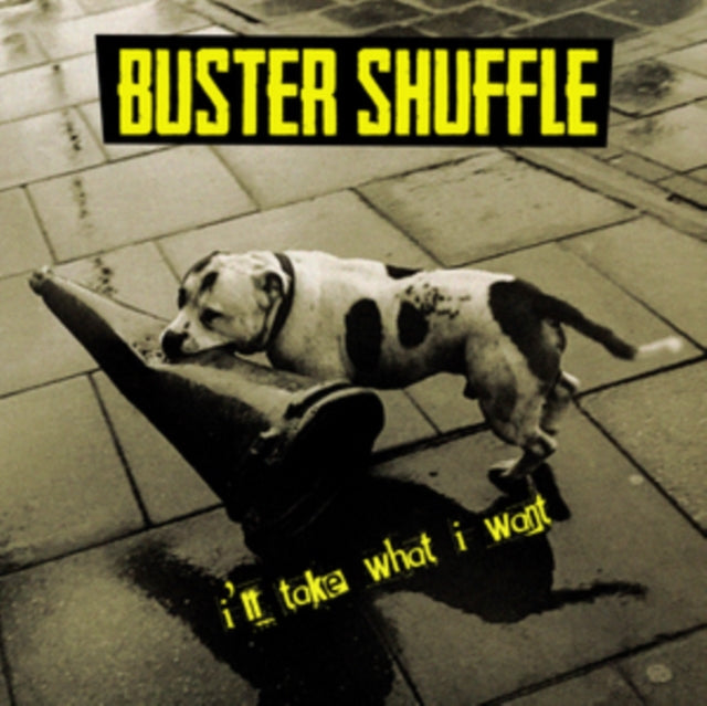 BUSTER SHUFFLE | I'LL TAKE WHAT I WANT | VINYL RECORD (LP)