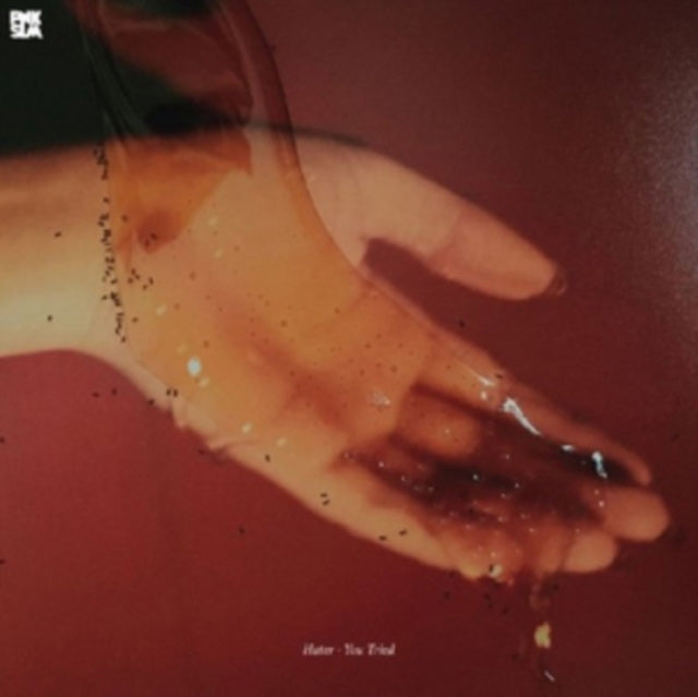 HATER | YOU TRIED | VINYL RECORD (LP)