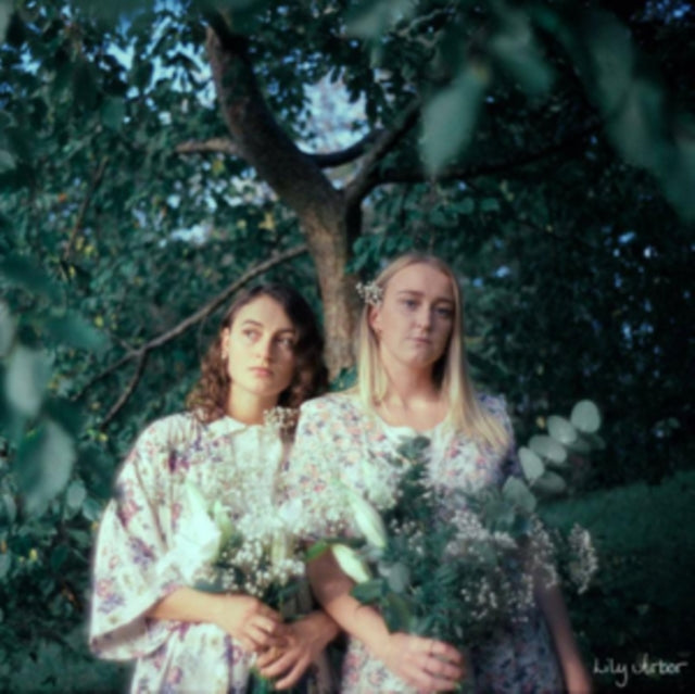 ARBOR, LILY | LILY ARBOR | VINYL RECORD (LP)