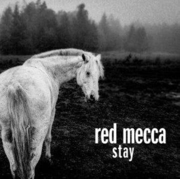 STAY (2LP) | VINYL RECORD (LP)