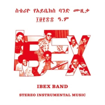 STEREO INSTRUMENTAL MUSIC (2LP) | VINYL RECORD (LP)