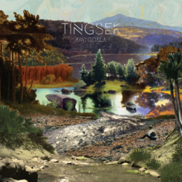 TINGSEK | AMYGDALA | VINYL RECORD (LP)