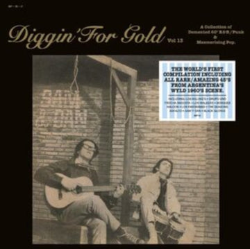 VARIOUS ARTISTS | DIGGIN' FOR GOLD VOL. 13 | VINYL RECORD (LP)