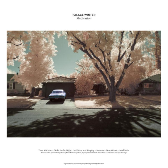 PALACE WINTER | MEDICATION | 12IN VINYL