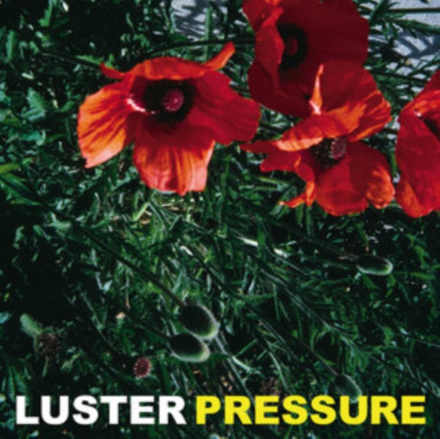 LUSTER | PRESSURE | VINYL RECORD (LP)