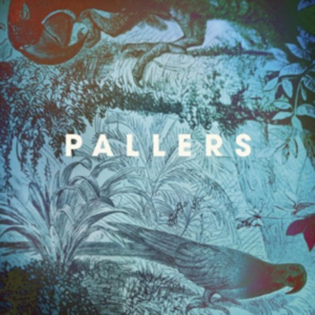PALLERS | SEA OF MEMORIES | VINYL RECORD (LP)