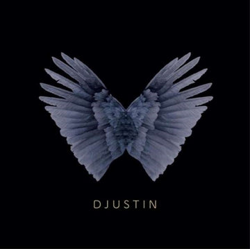 DJUSTIN | TRYST | 12IN VINYL