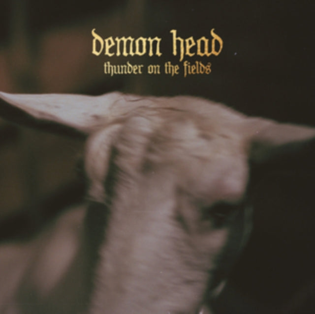 DEMON HEAD | THUNDER ON THE FIELDS | VINYL RECORD (LP)