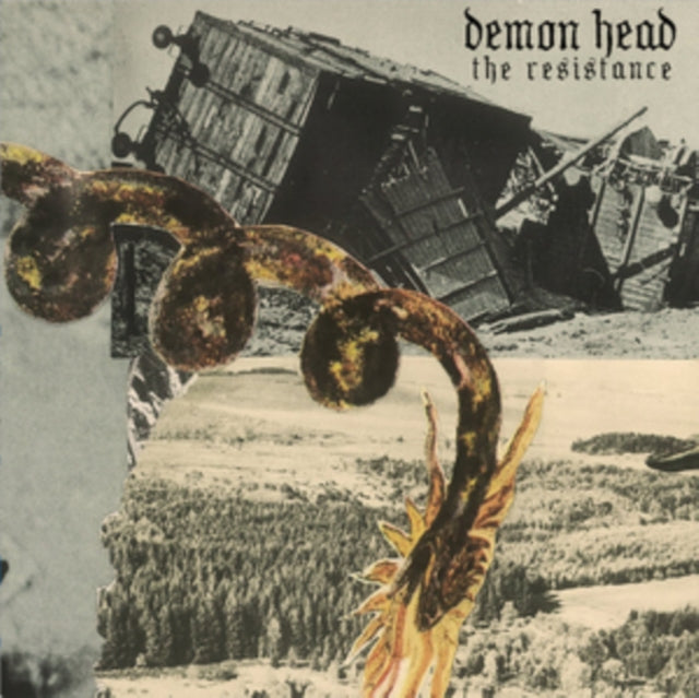 DEMON HEAD | RESISTANCE | 7IN VINYL