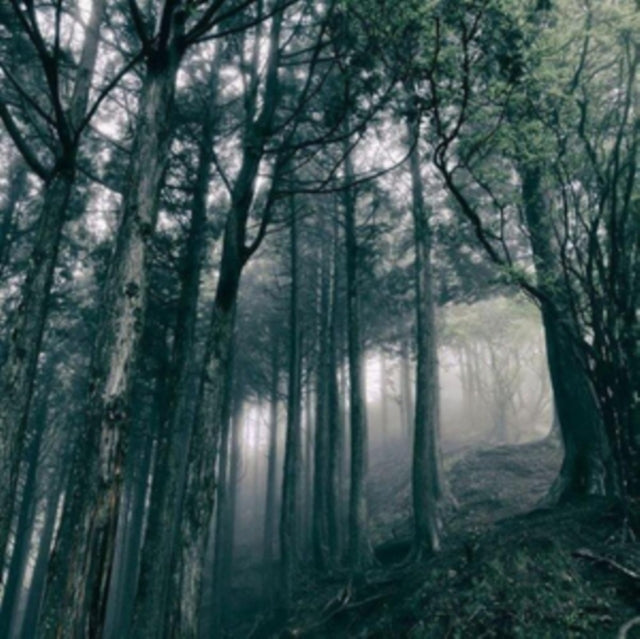 KOSEMURA, AKIRA | IN THE DARK WOODS | VINYL RECORD (LP)