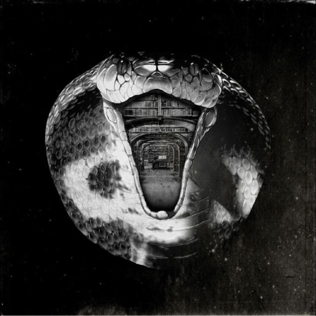MOMMYHEADS | GENIUS KILLER | VINYL RECORD (LP)