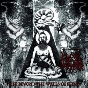 LIFE BEYOND THE WALLS OF FLESH (IMPORT) | VINYL RECORD (LP)