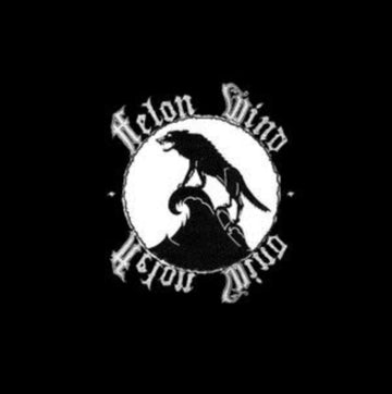 FELON WIND (IMPORT) | 10IN VINYL