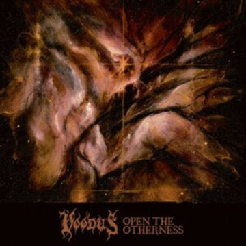OPEN THE OTHERNESS | VINYL RECORD (LP)