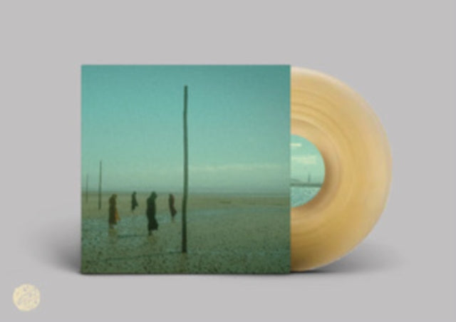 DEVILS WITCH | IN ALL HER FORMS (GOLD & CLEAR MARBLED VINYL/2LP) | VINYL RECORD (LP)