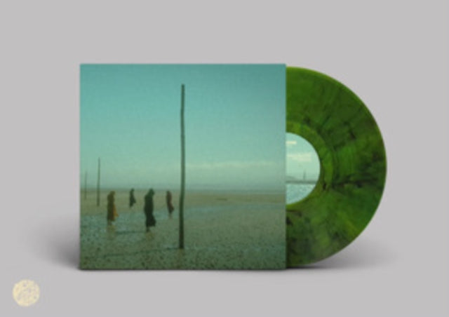 DEVILS WITCH | IN ALL HER FORMS (GREEN & BLACK MARBLED VINYL/2LP) | VINYL RECORD (LP)