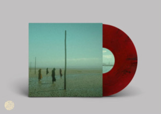 DEVILS WITCH | IN ALL HER FORMS (RED & BLACK MARBLED VINYL/2LP) | VINYL RECORD (LP)