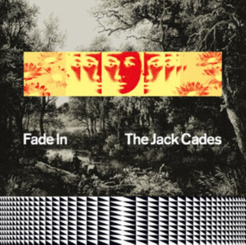 FADE IN | VINYL RECORD (LP)