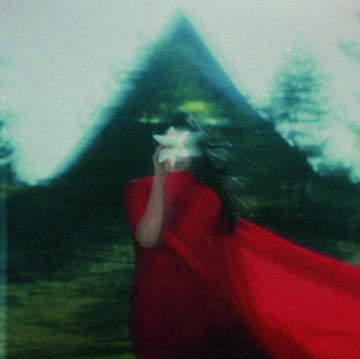ANN, KAERY | SONGS OF GRACE AND RUIN | VINYL RECORD (LP)
