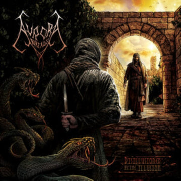 DISILLUSIONED BY THE ILLUSION | VINYL RECORD (LP)