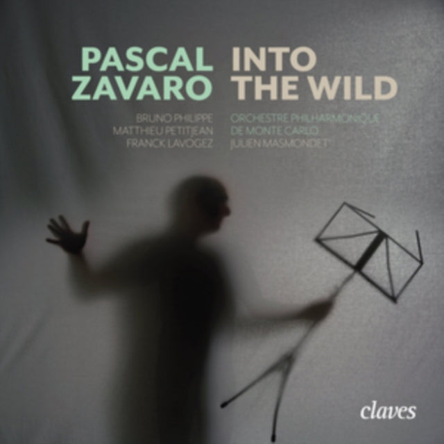 ZAVARO, PASCAL | INTO THE WILD | CD